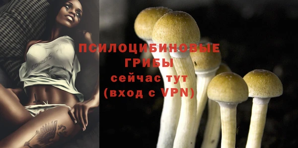 ALPHA-PVP Вязники