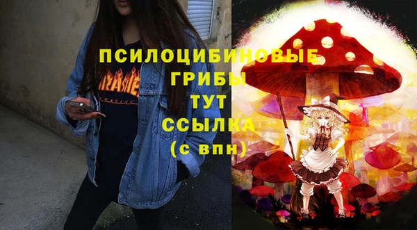 не бодяженный Вяземский