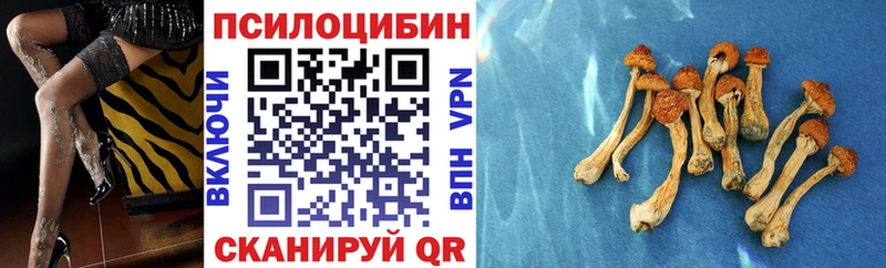 Галлюциногенные грибы мицелий  Купить закладки  Канск 
